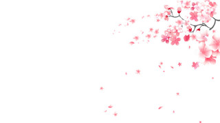 粉色樱花素材GIF动态图飘落樱花元素